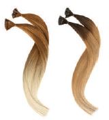 gid://shopify/Product/9880195236168_1