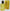 gid://shopify/Product/9873553555784_1