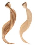 gid://shopify/Product/9880201953608_1