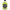 gid://shopify/Product/9874559500616_1