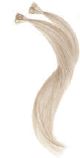 gid://shopify/Product/9880190845256_1